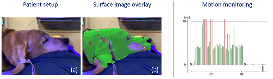 research-into-flash-radiotherapy